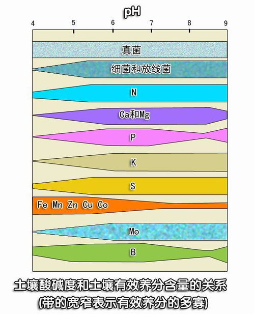 土壤酸碱性的改良