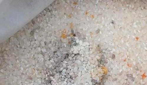 自制肥料发霉了还能用吗;自制肥料长了蛆怎么办