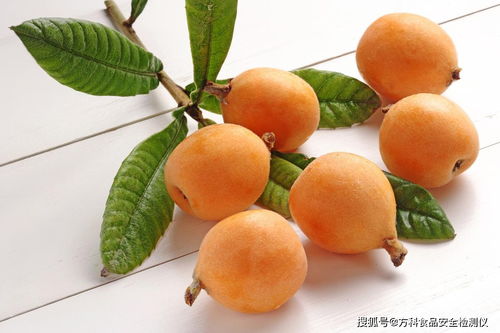 枇杷用什么肥料才甜_枇杷用什么肥料才甜又好看