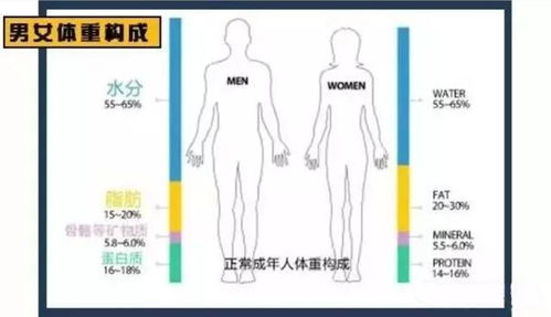 一天内,体重测量相差4 5斤,这种情况正常吗