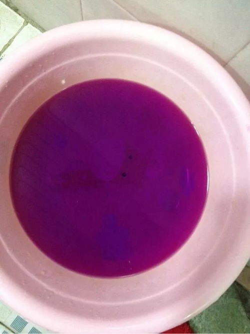 用高锰酸钾给土壤消毒怎么使用;用高锰酸钾给土