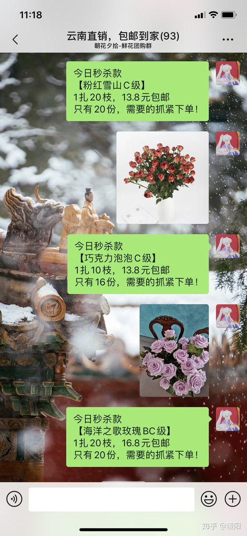 买花是实体店还是淘宝 