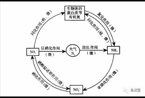 水中的氨氮 亚硝酸盐的来龙去脉你知道多少