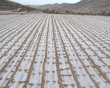 全地膜覆盖土壤透气如何控制-覆盖地膜后透气问