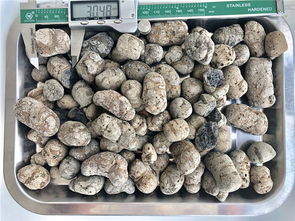 轻质陶粒阳泉厂家选金瑞陶粒