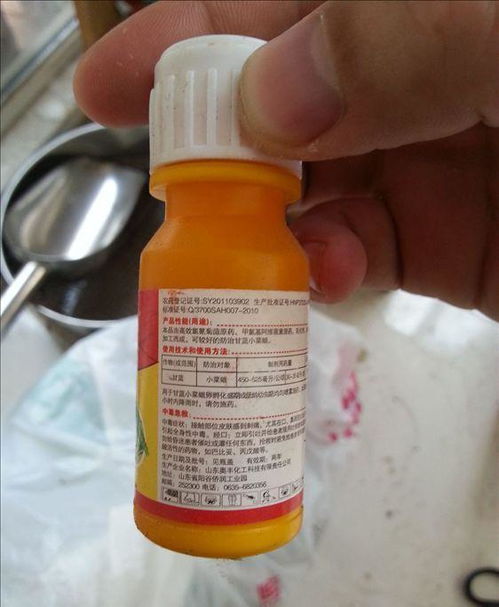 如何自制灭小黑飞虫药