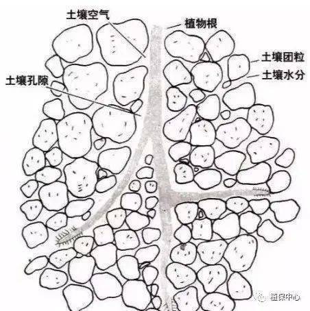 面对越来越差的土壤,如何提升土壤肥力 其实很简单