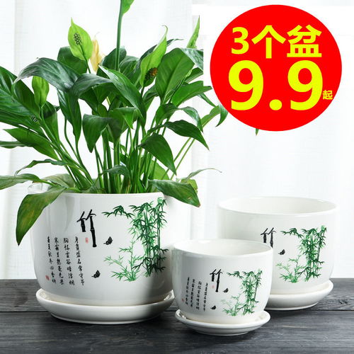特大花盆图片;特大号花盆