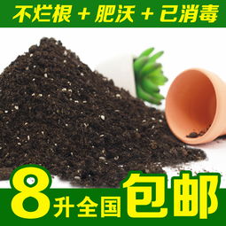 价格 图片 品牌 怎么样 元珍商城 