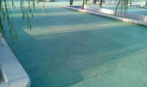 营养土浇不透水-营养土浇不进水