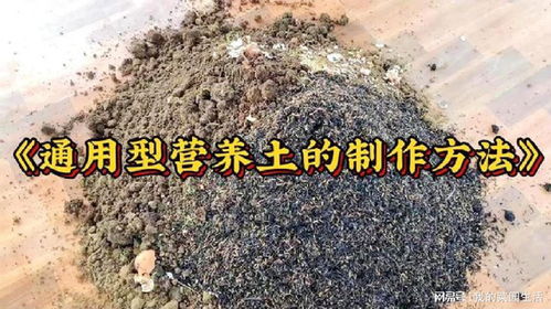 种菜的营养土的配制方法,种植蔬菜营养土的配制