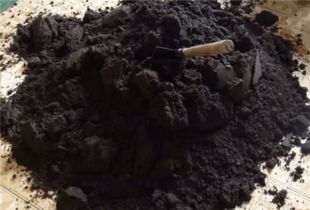 花盆土消毒 花盆里的土怎么消毒 