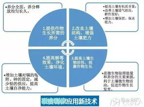 土壤有机质如何调节控制-土壤有机质的调节措施