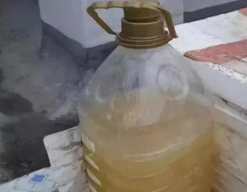淘米水直接浇花没有用,兑点 养花宝 ,养啥旺啥真方便