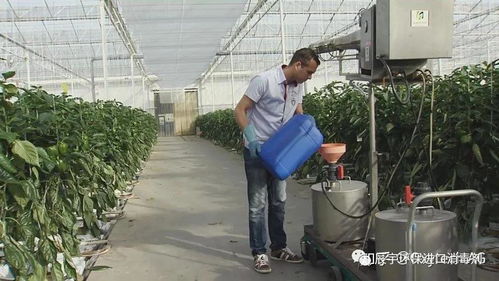 土壤消毒杀菌用什么药最好_菜地土壤消毒的最好