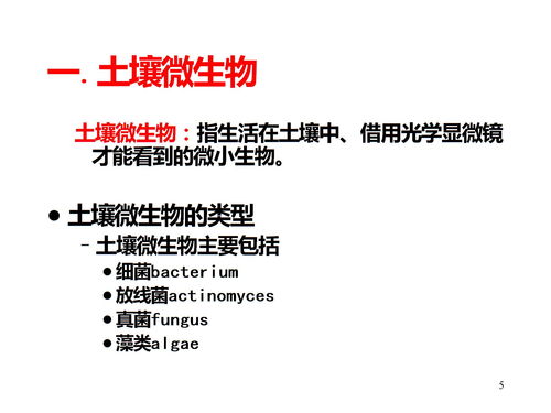 第五章 土壤有机质下载 PPT模板 爱问共享资料 