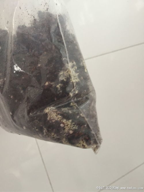 泥炭土能重复使用吗