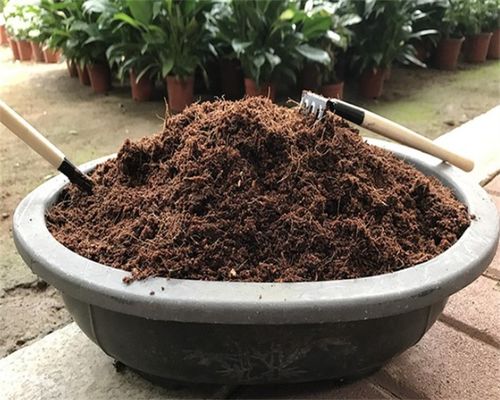 哪些植物不能用椰糠;椰砖种花要加土吗