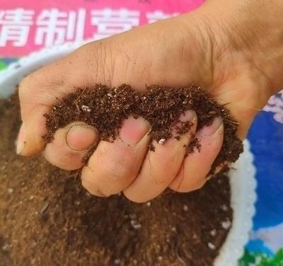 颗粒土和营养土怎么混合,颗粒土和营养土可以