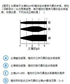 初中化学 酸性土壤好还是碱性土壤好 