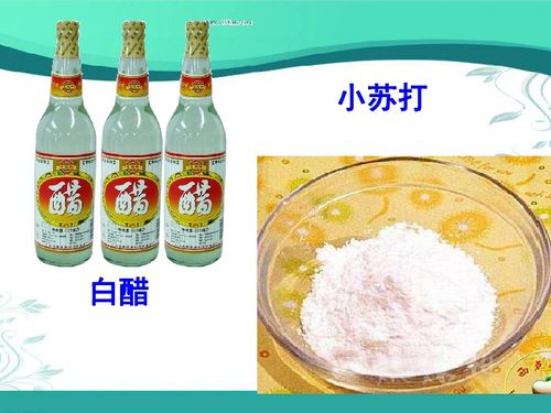 小苏打白醋代替农药杀虫;白醋加什么杀虫最好最