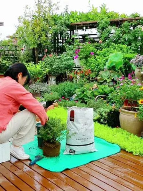 种花一定要买营养土吗-种花必须用营养土吗