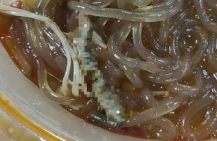 白色胖胖的大肉虫叫啥、白色肉虫图片