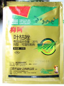 金钻叶子干边是什么事 