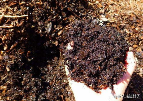 用不完的营养土怎么保存-用过的营养土