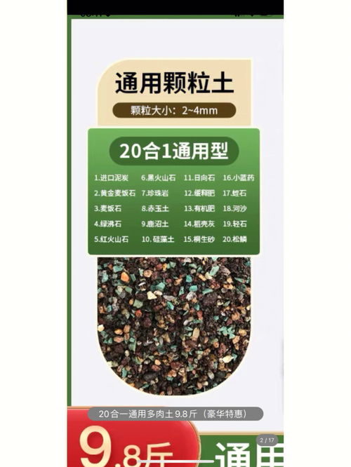 新买的多肉到底应该用什么土啊 迷糊了 