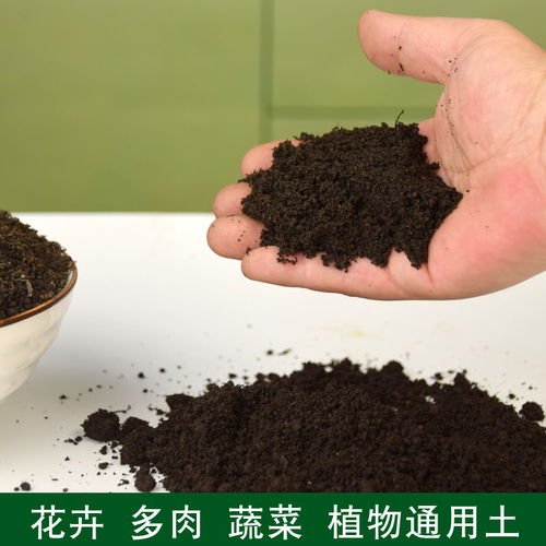 有机营养土有毒吗