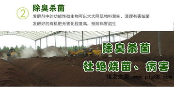 发酵鸡粪制作有机肥的方法步骤