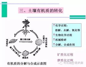 土壤有机质含量为20正常吗、土壤有机质1.724