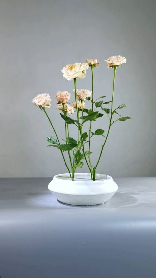 心里种花,人生才不会荒芜 插花 