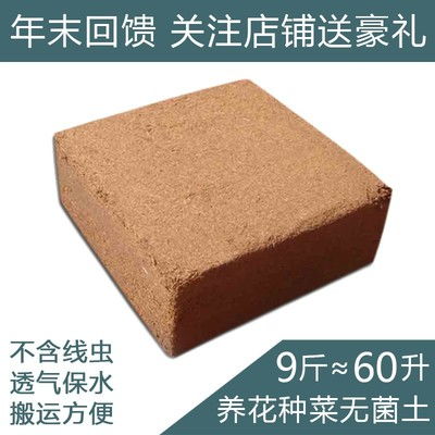 价格 图片 品牌 怎么样 元珍商城 
