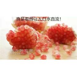 盆栽石榴树品种多少钱一棵 