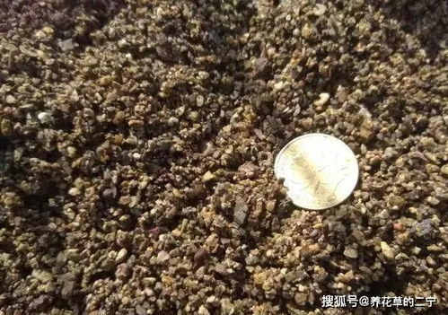 节约用土,河沙养花,是个宝 路边随便挖,省下一笔钱 土壤 
