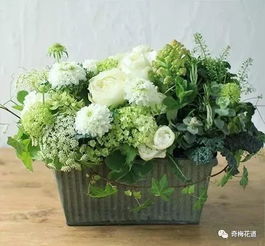 绿色系插花成功的引起我的关注,好喜欢,肿么办 