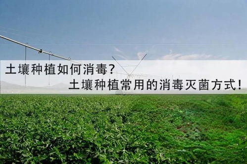 土壤消毒杀菌的最好方法;种菜土壤消毒杀菌的最