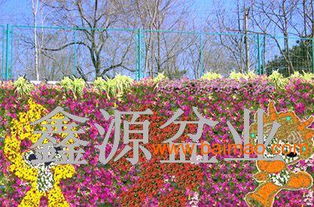 梯形花盆批发 供应山东价格合理的桥梁绿化用花盆,梯形花盆批发 供应山东价格合理的桥梁绿化用花盆生产厂家,梯形花盆批发 供应山东价格合理的桥梁绿化用花盆价格 