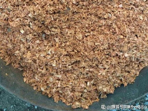 怎样用锯末自制营养土
