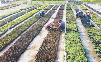 欢迎您光临中国珠海政府门户网站 