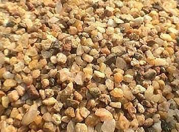 还在花钱买土 4种土出门就能找到,简单处理就是养花营养土