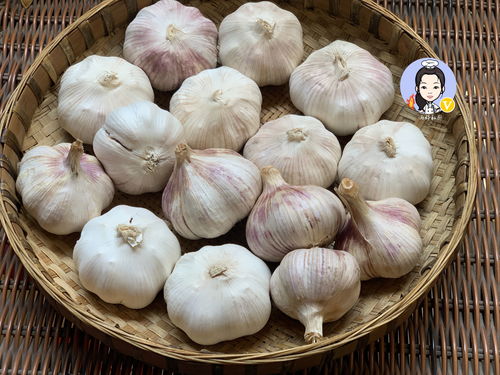 营养土开袋以后怎么保存;营养土买回来需要晾晒