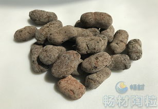 种花陶粒是什么材料做的-种花陶粒是什么材料做