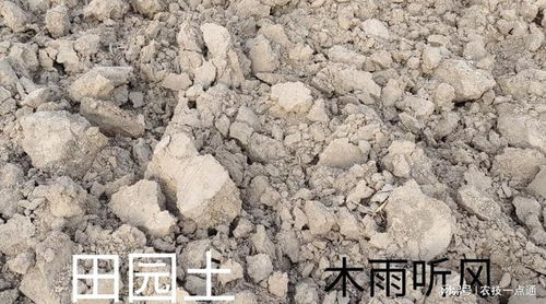 田园土和营养土哪个好-田园土加营养土可以种月