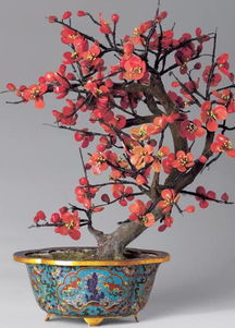 盆栽梅花配土方法;梅花盆景配土