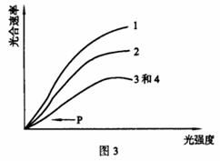 3.实验证明矿物元素会直接或间接地影响光合作用.图2 8所示为水稻叶片氮.磷含量与光合作用速率的关系.请据图4回答 1 分析图2 8.水稻叶片的氮.磷含量与光合作用速率之间有何关系 