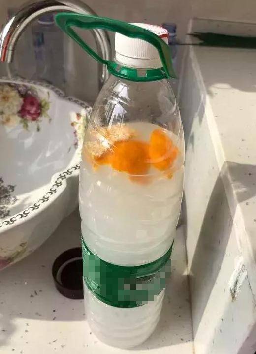 居家盆栽植物用啥当肥料不加剧土壤负担 这样自制肥,无害