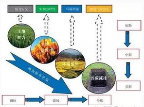增加土壤有机质的途径_增加土壤有机质的途径有